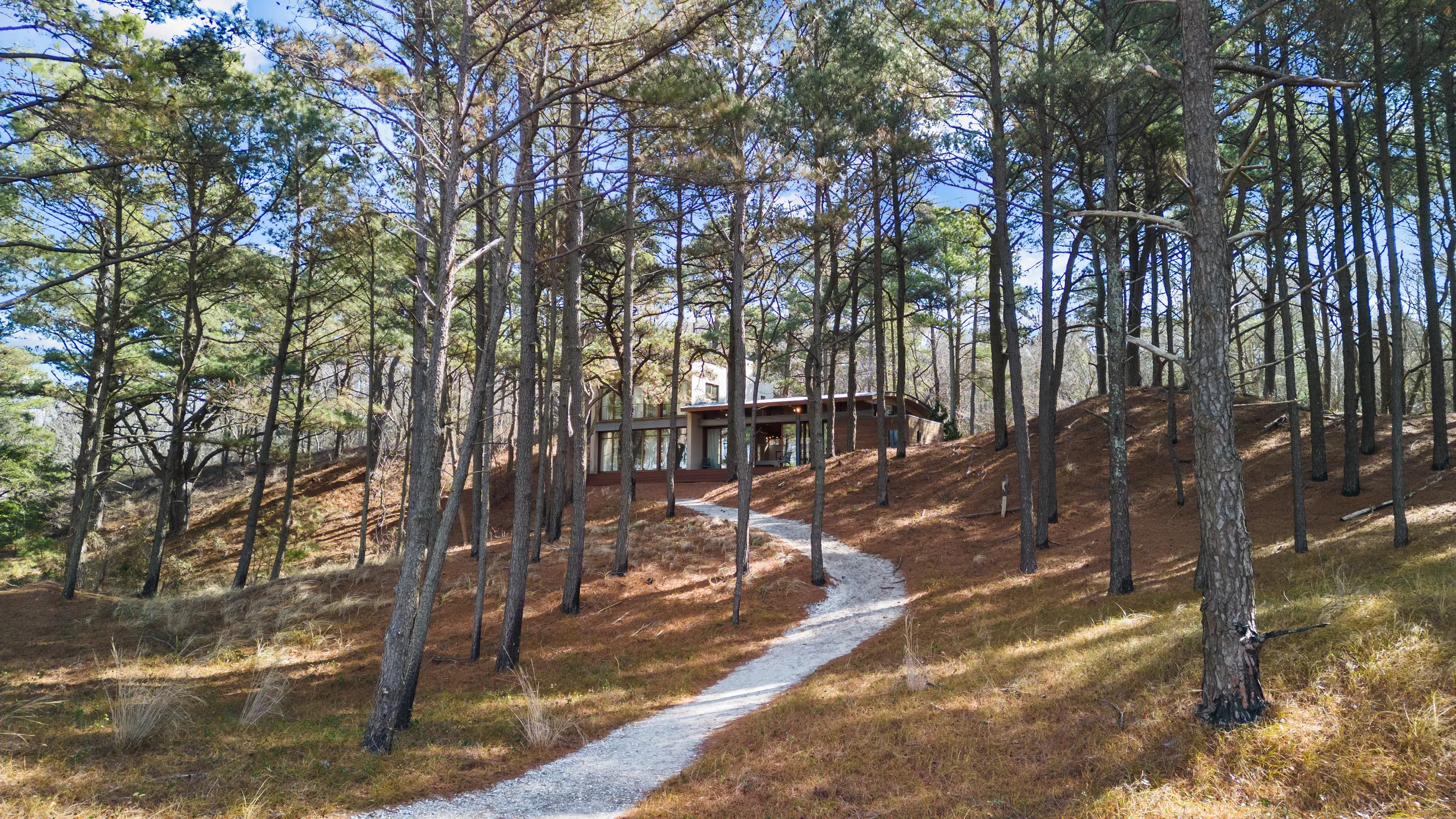 Wander Cape Charles #49