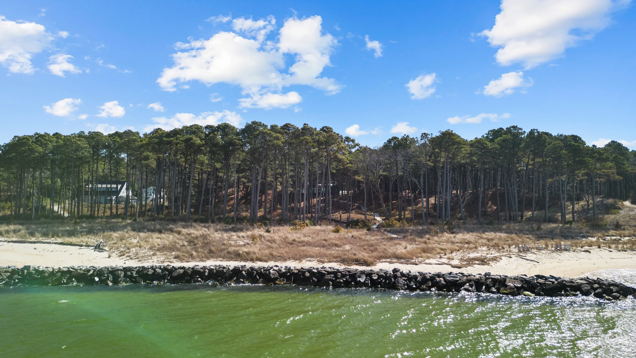 Wander Cape Charles #59