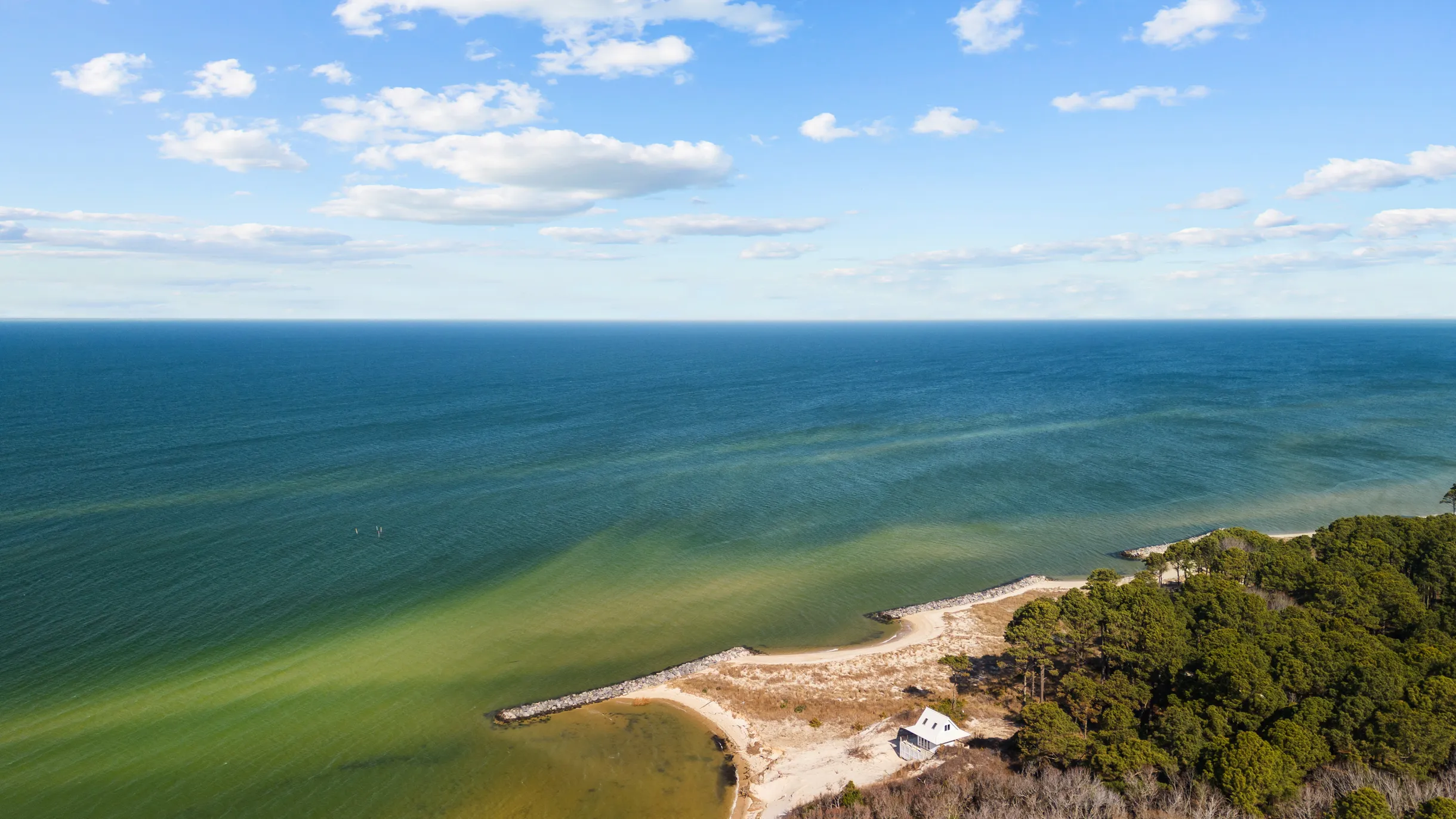 Wander Cape Charles #63