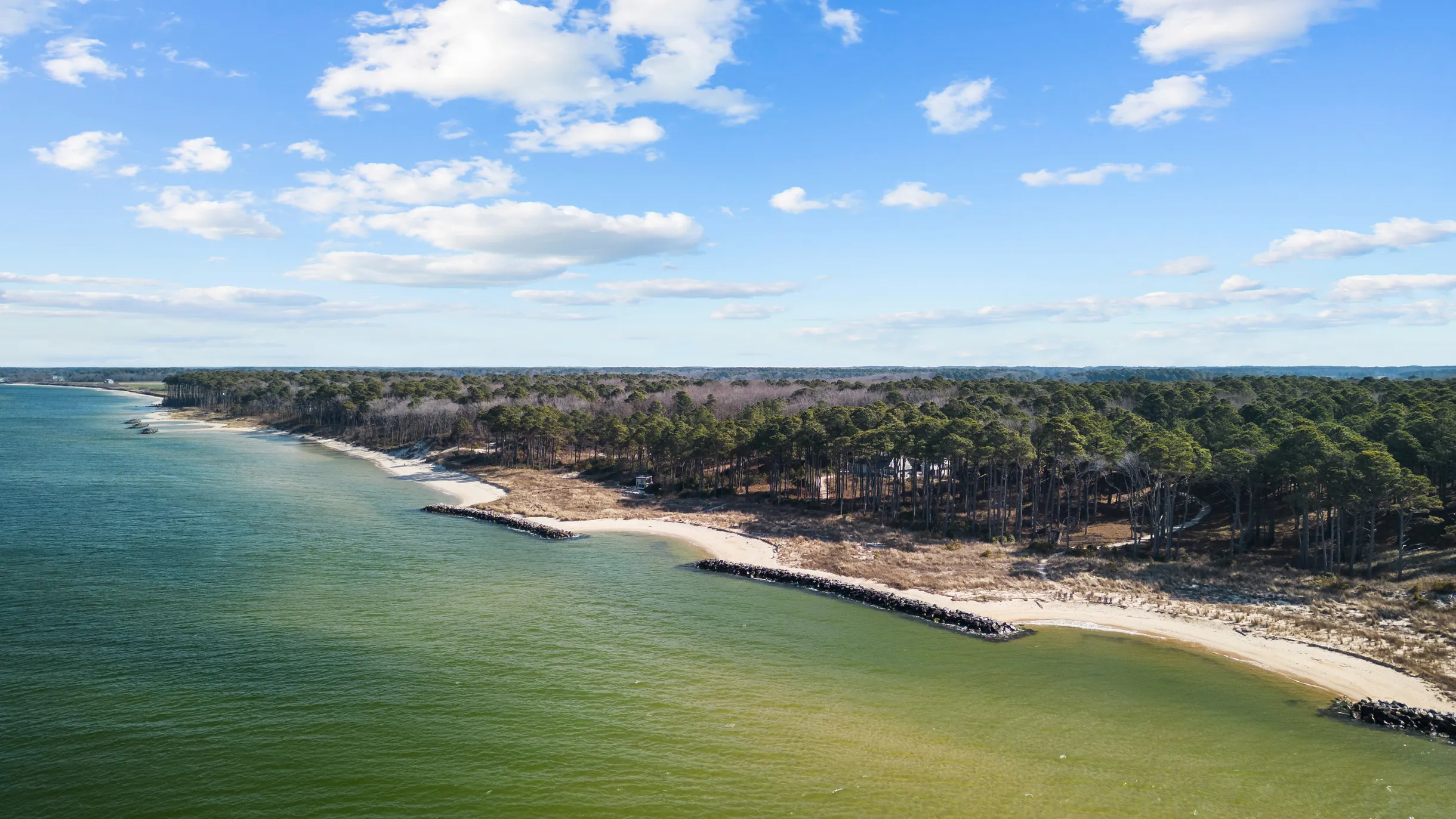 Wander Cape Charles #61