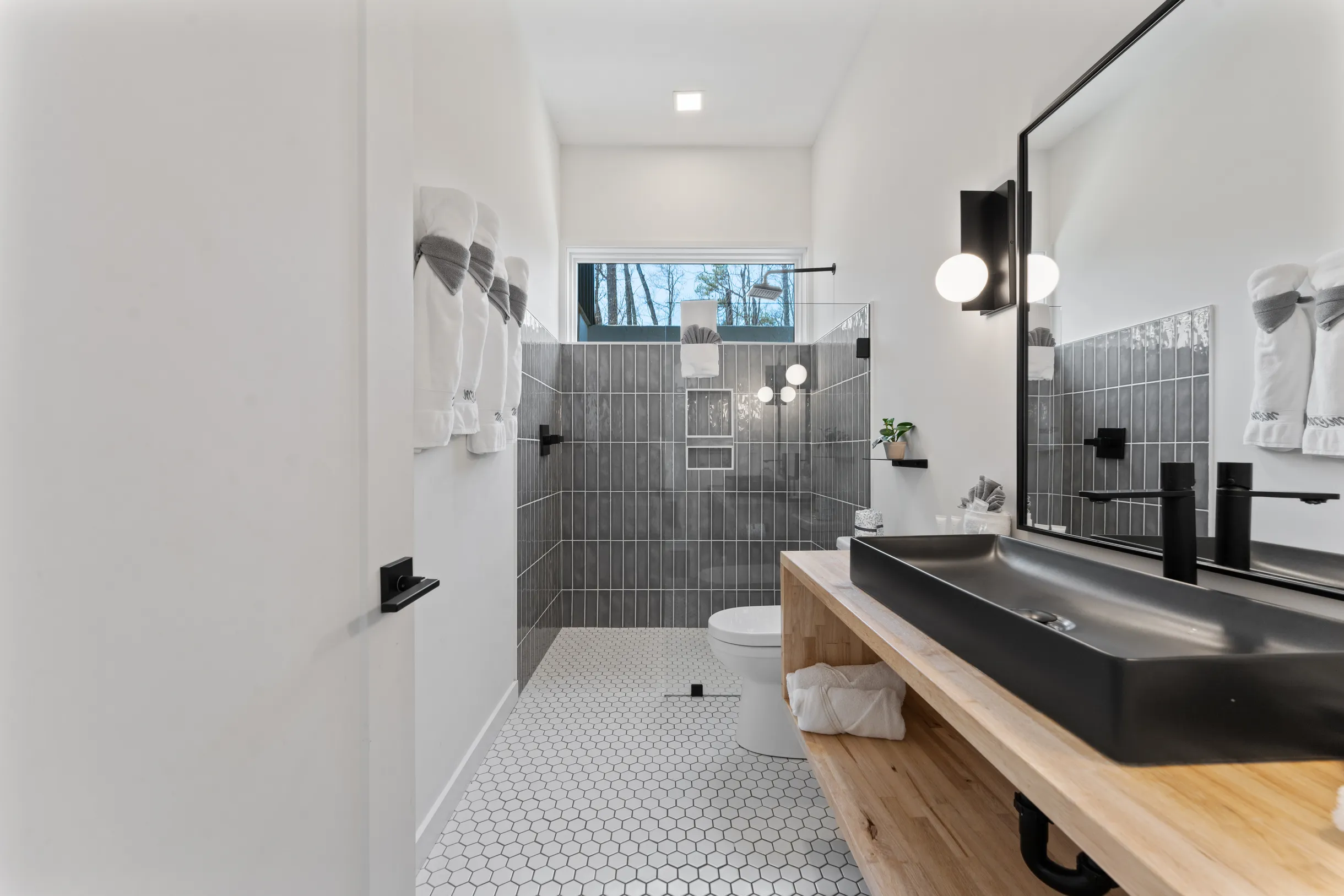 Wander Smoky Mountains #16