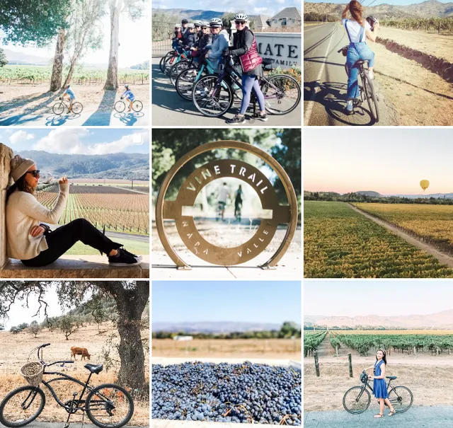 Napa Valley Bike Tours & Rentals