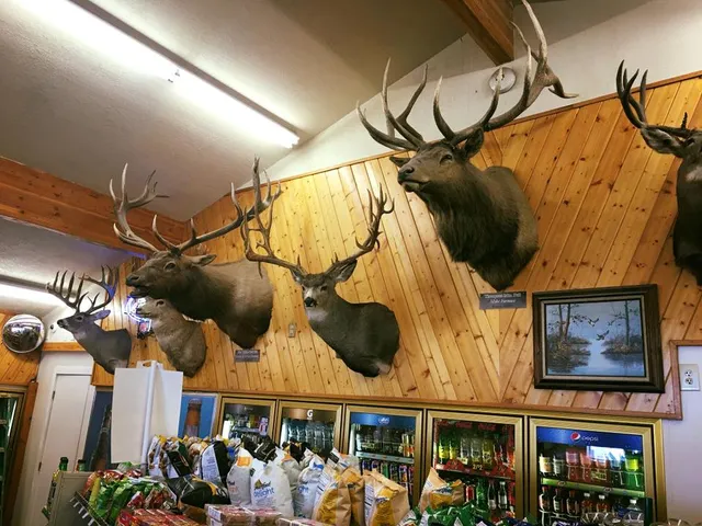 Grand View General Store