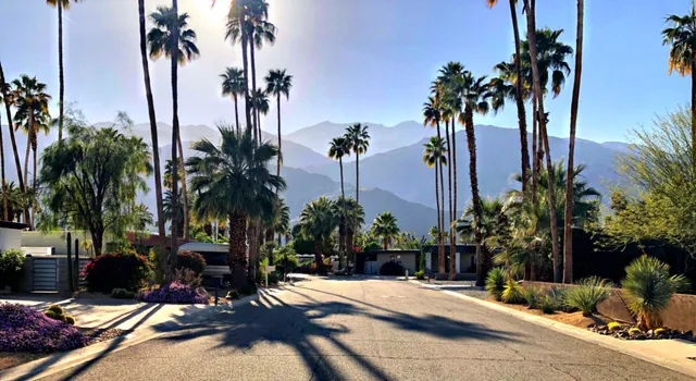 Transportation Guide: Wander Palm Springs