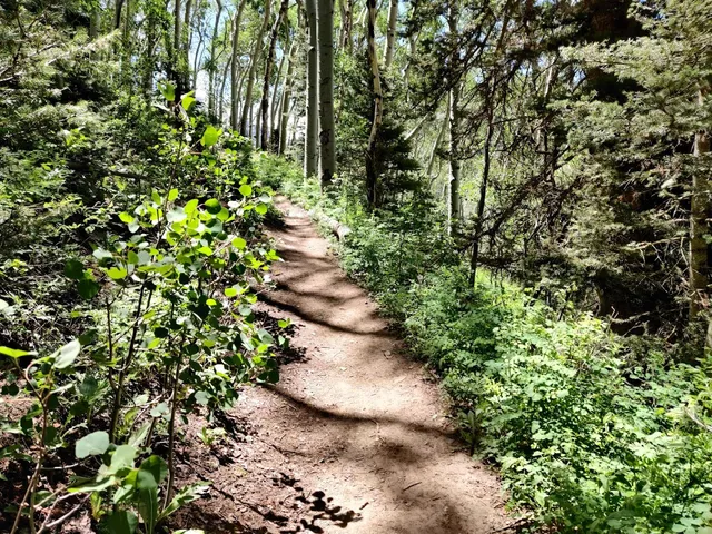 Jud Wiebe Memorial Trail