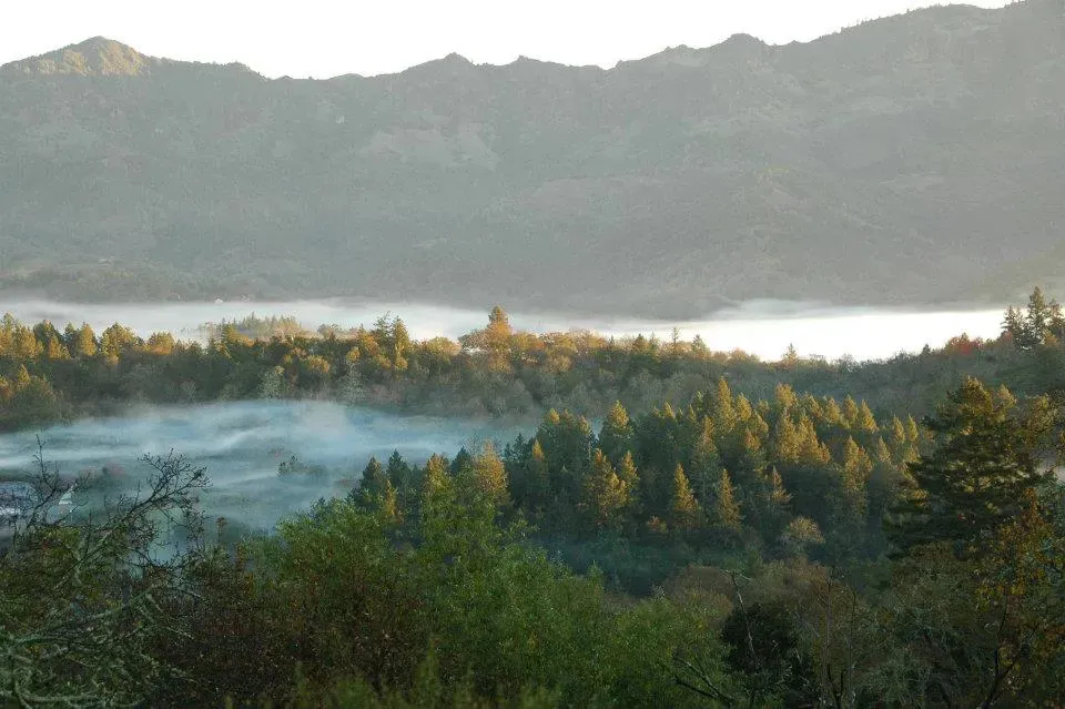 Wander Calistoga Valley: Local Travel Guide