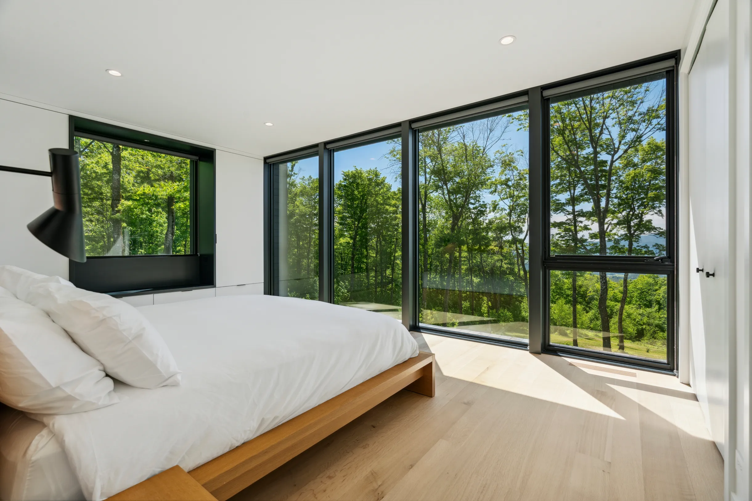 Wander Bear Creek #11