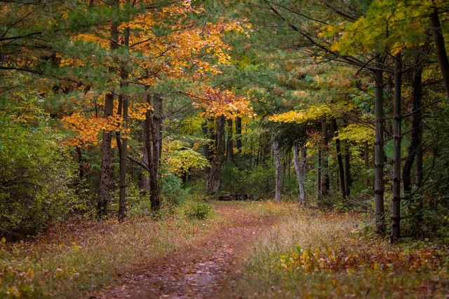 Peninsula State Park