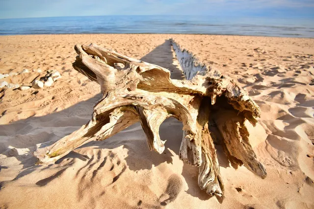 Whitefish Dunes State Park