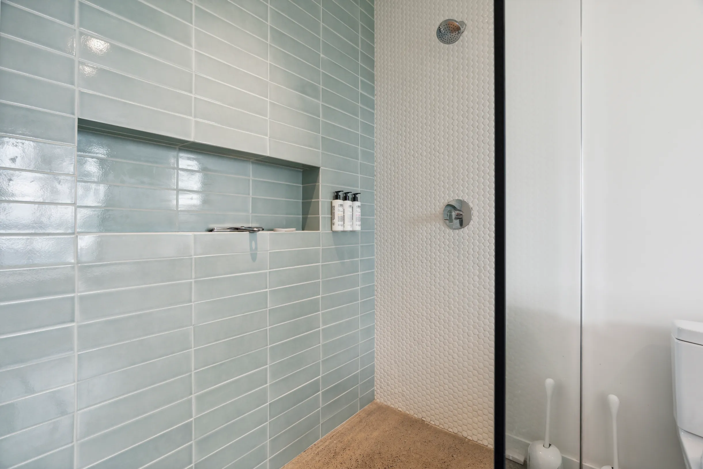 Wander Bear Creek #37