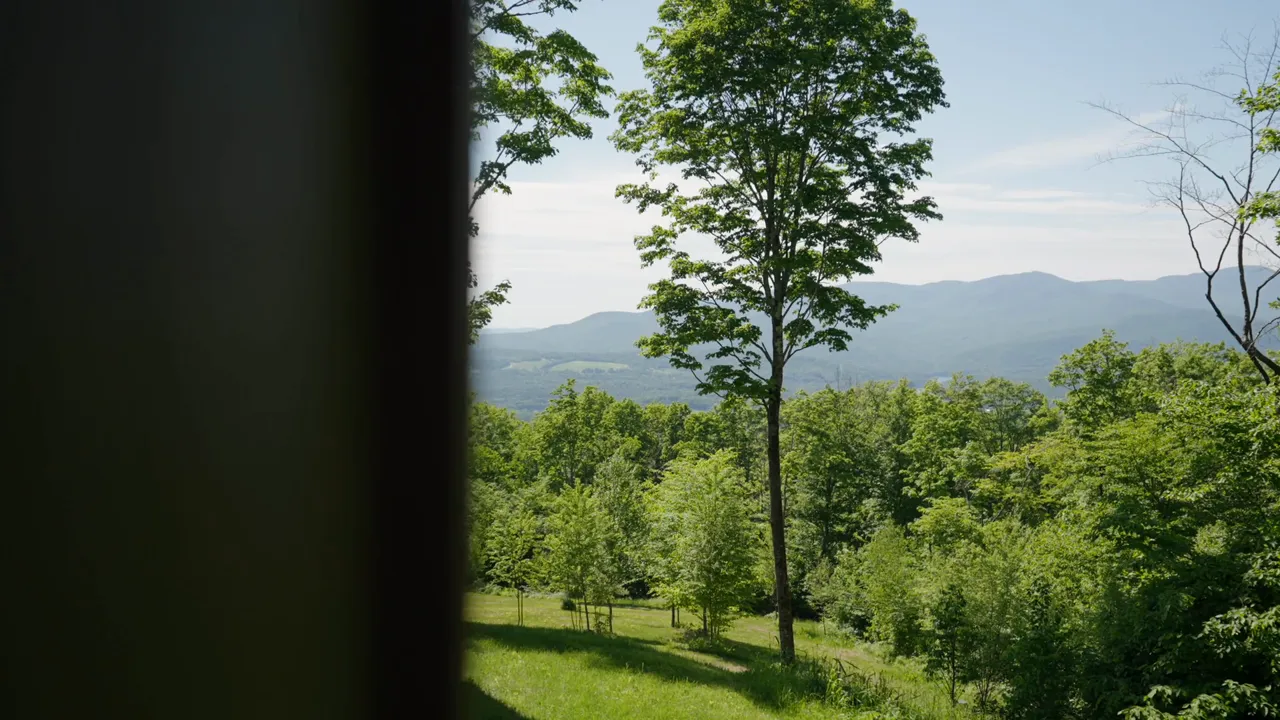 Wander Bear Creek tour video