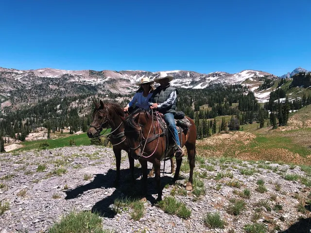 What To See Near Wander Teton Plains