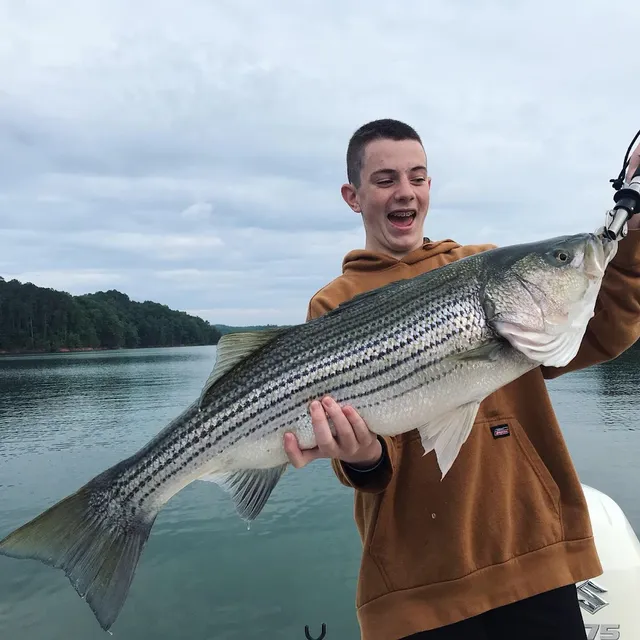 Backwoods Fishing Guide - Carters Lake & Lake Nottely North Georgia