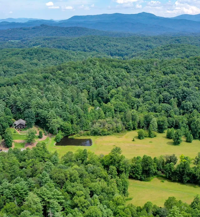 Zipline Canopy Tours of Blue Ridge