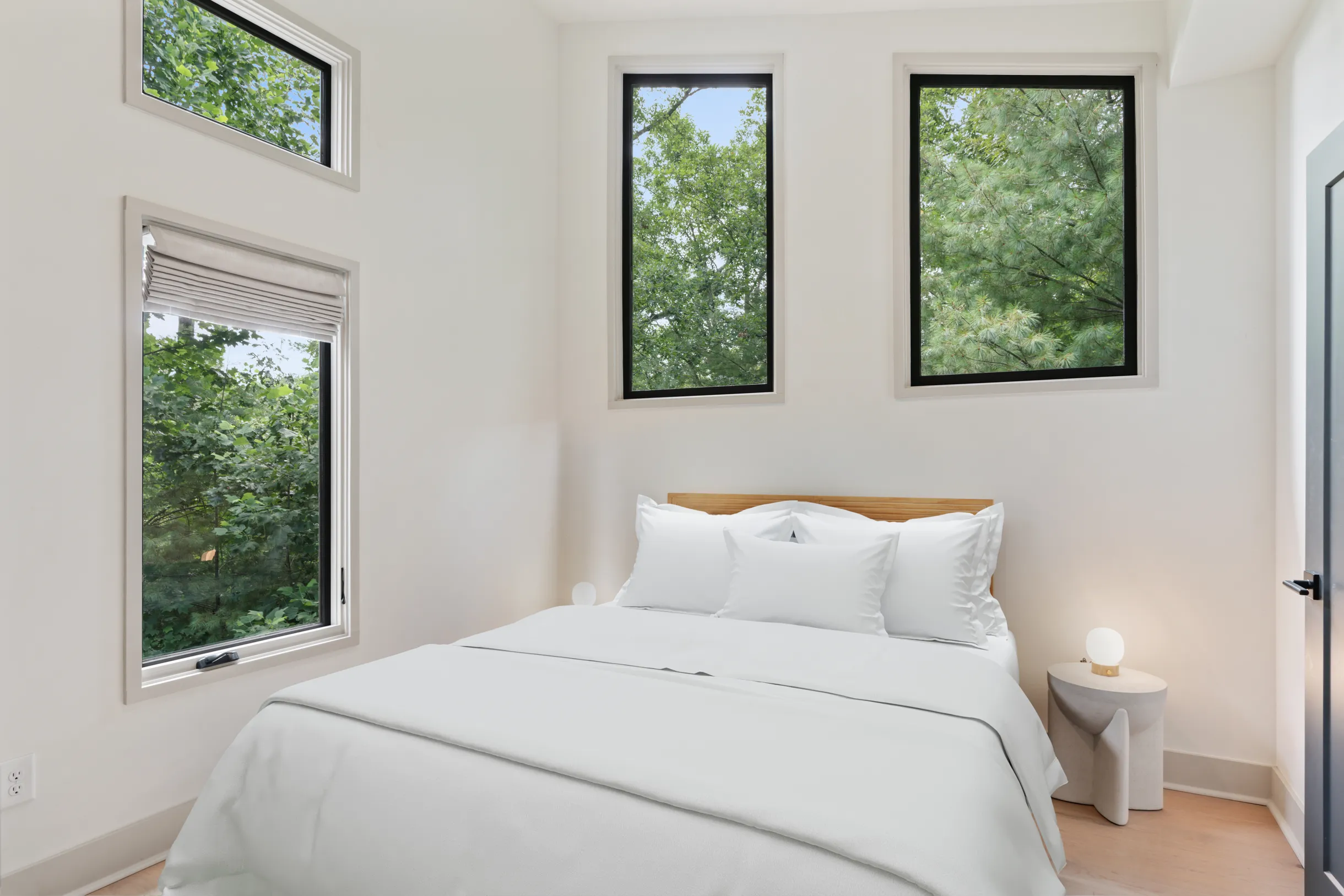 Wander Ellijay Falls #28