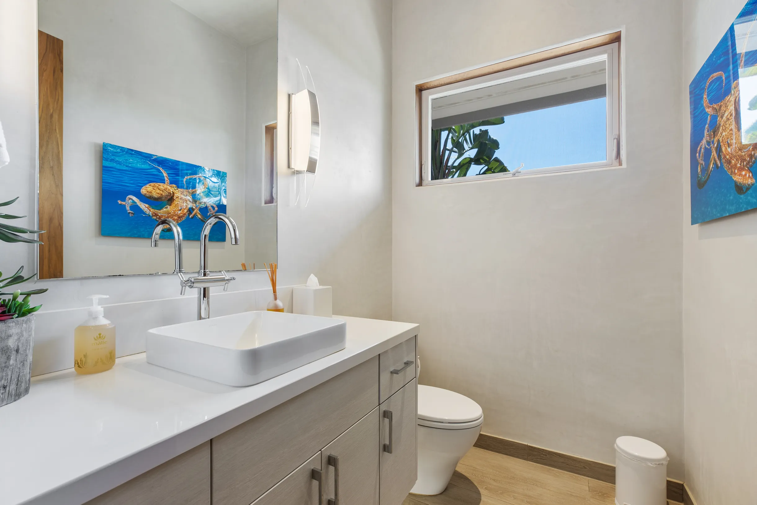 Wander Waikōloa Beach #18