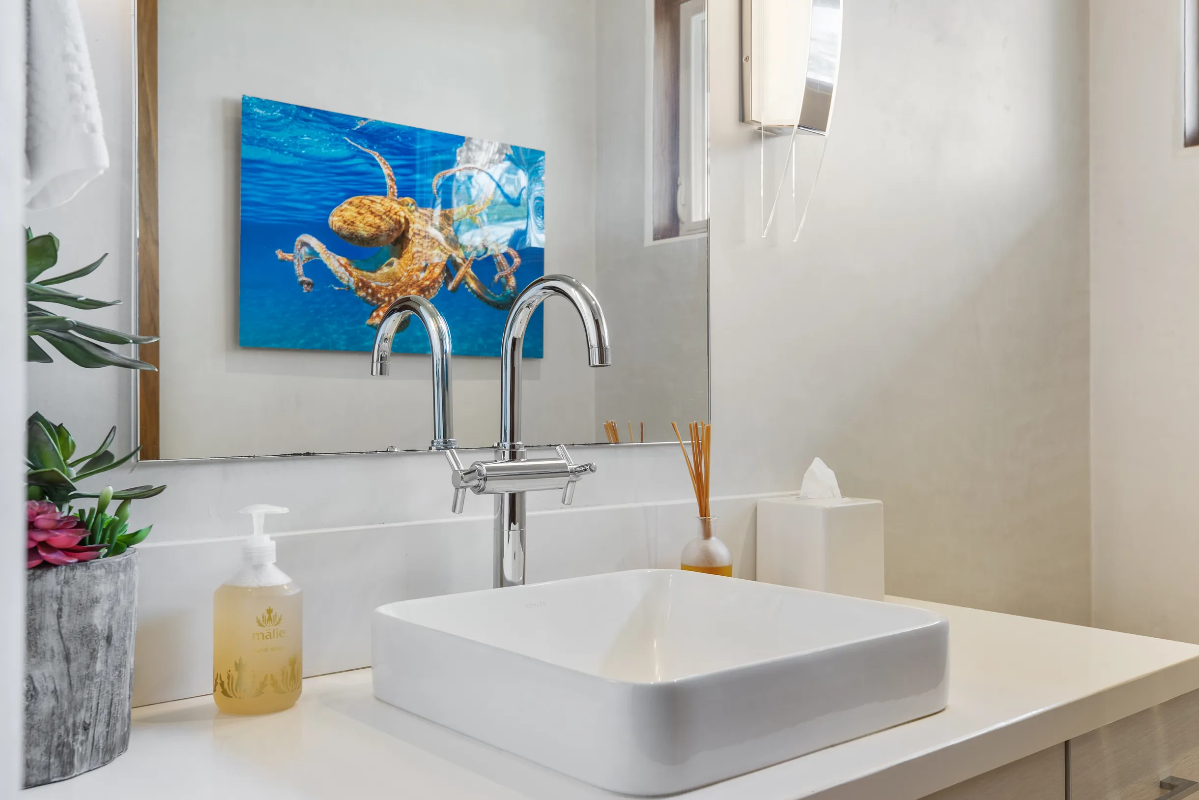 Wander Waikōloa Beach #42