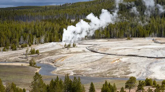 Visit Yellowstone National Park