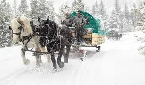 Sleigh Ride