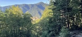 Alum Cave Trail to Mount LeConte