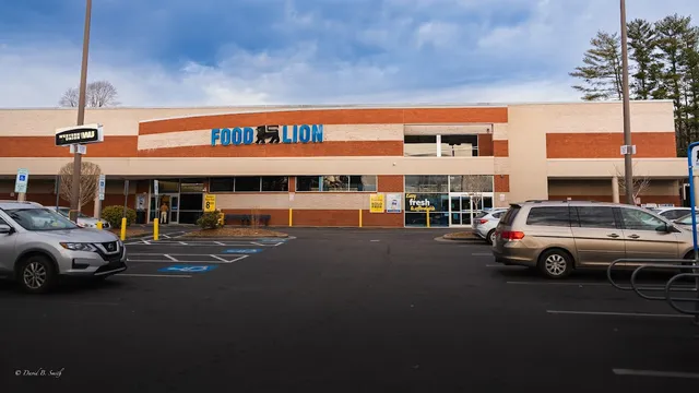 Food Lion