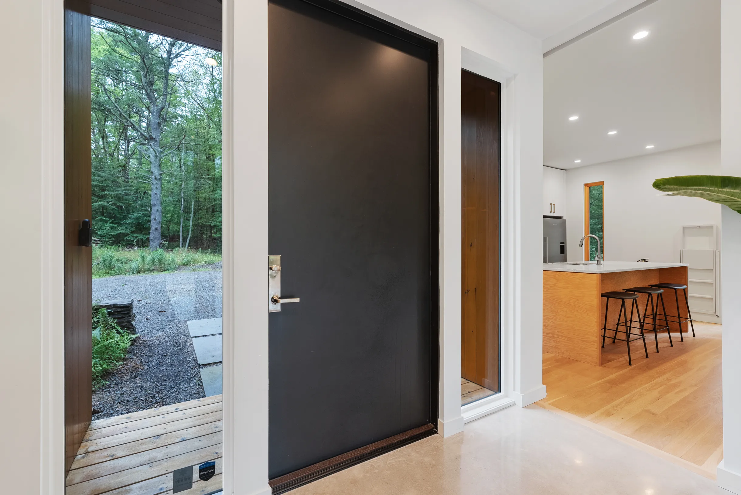 Wander Catskills Creek #19