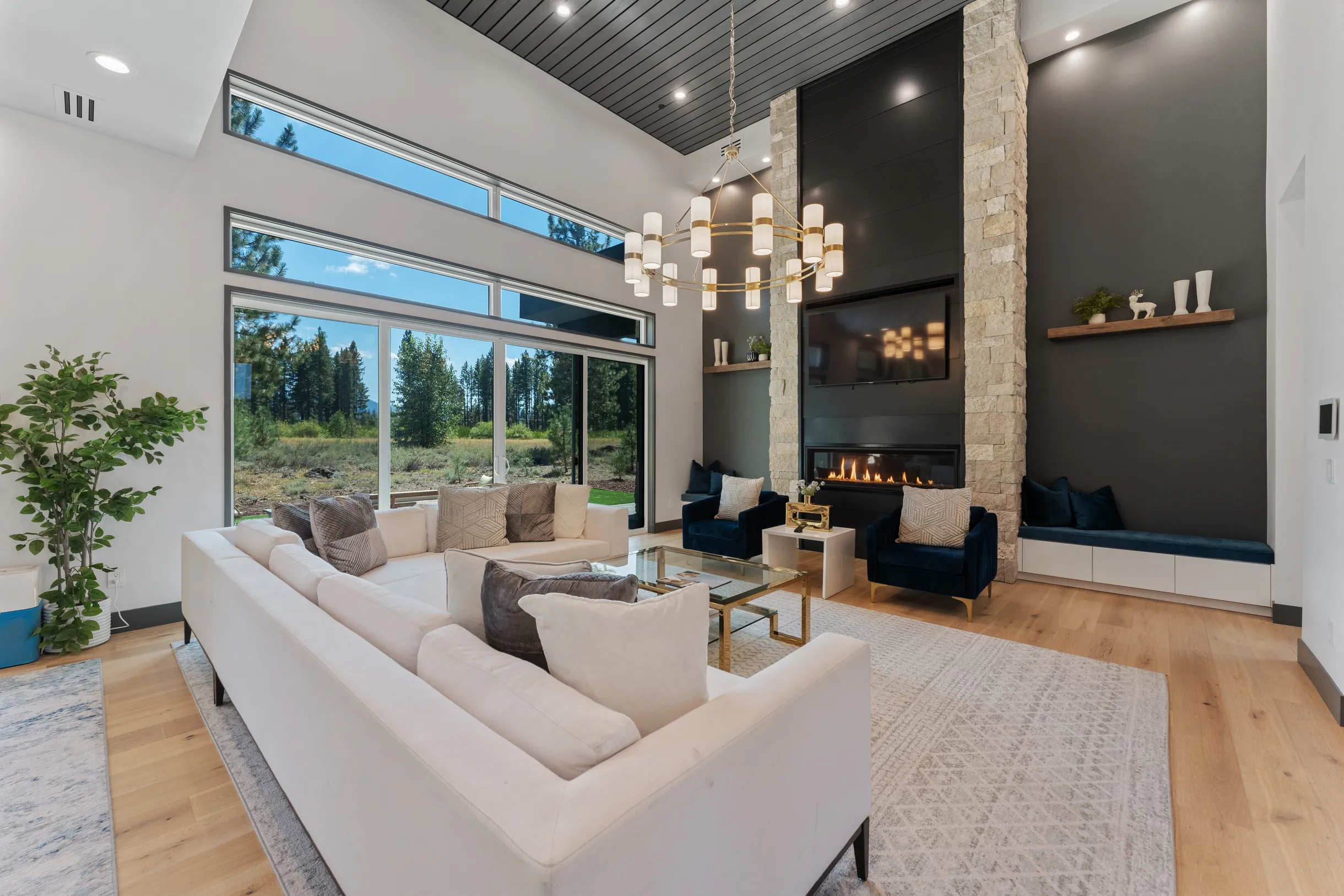 Wander Truckee Woods #26