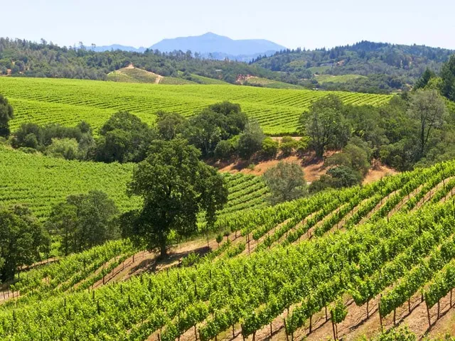 Wander Healdsburg Hills: Transportation Guide 