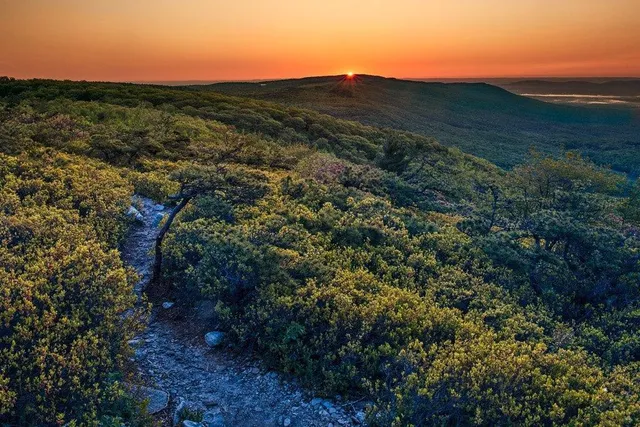 Wander Catskills Creek: Activities Guide