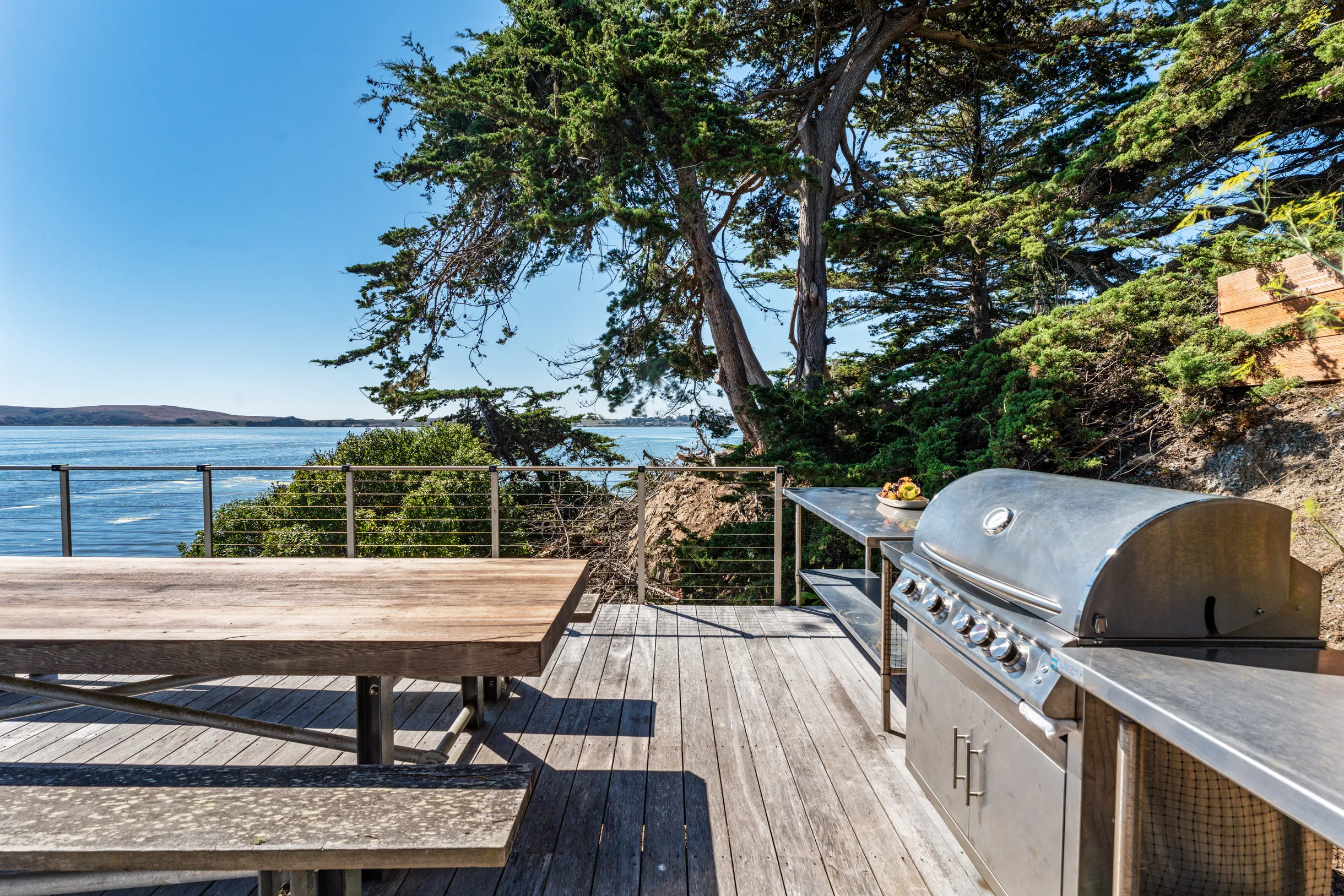 Wander Bodega Bay #35