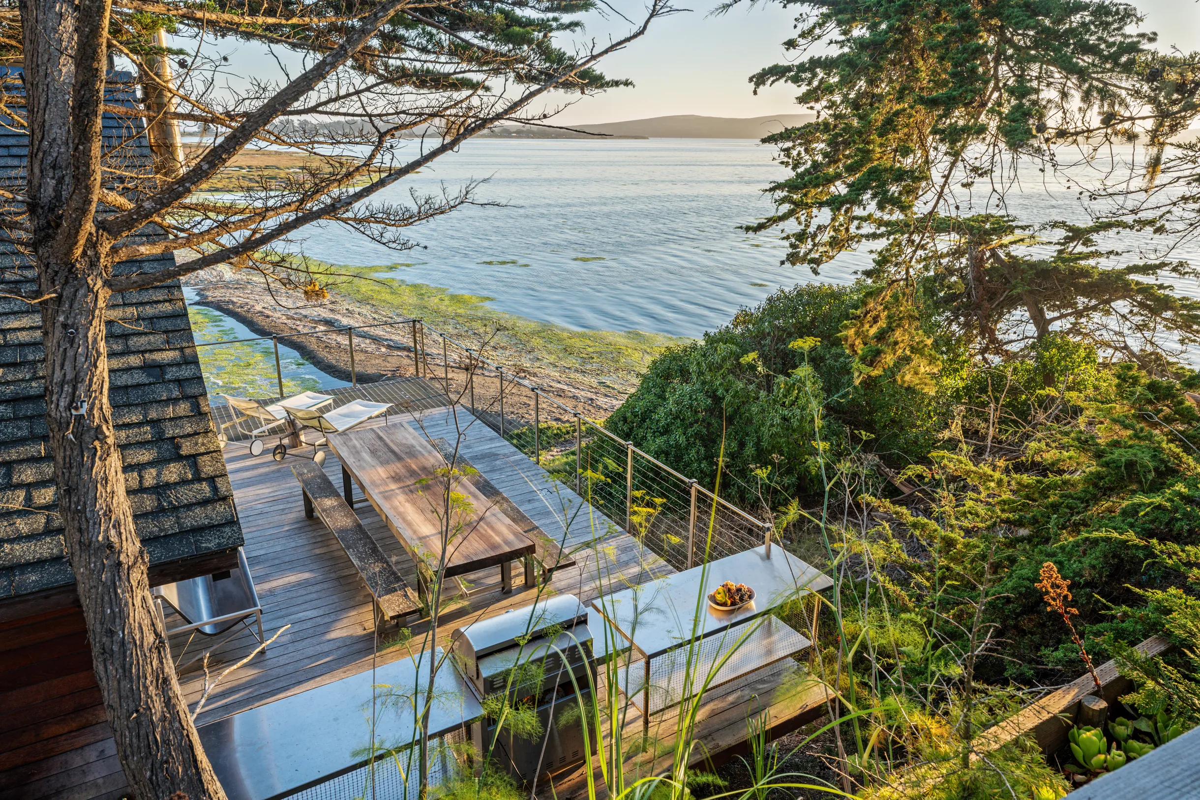 Wander Bodega Bay #39