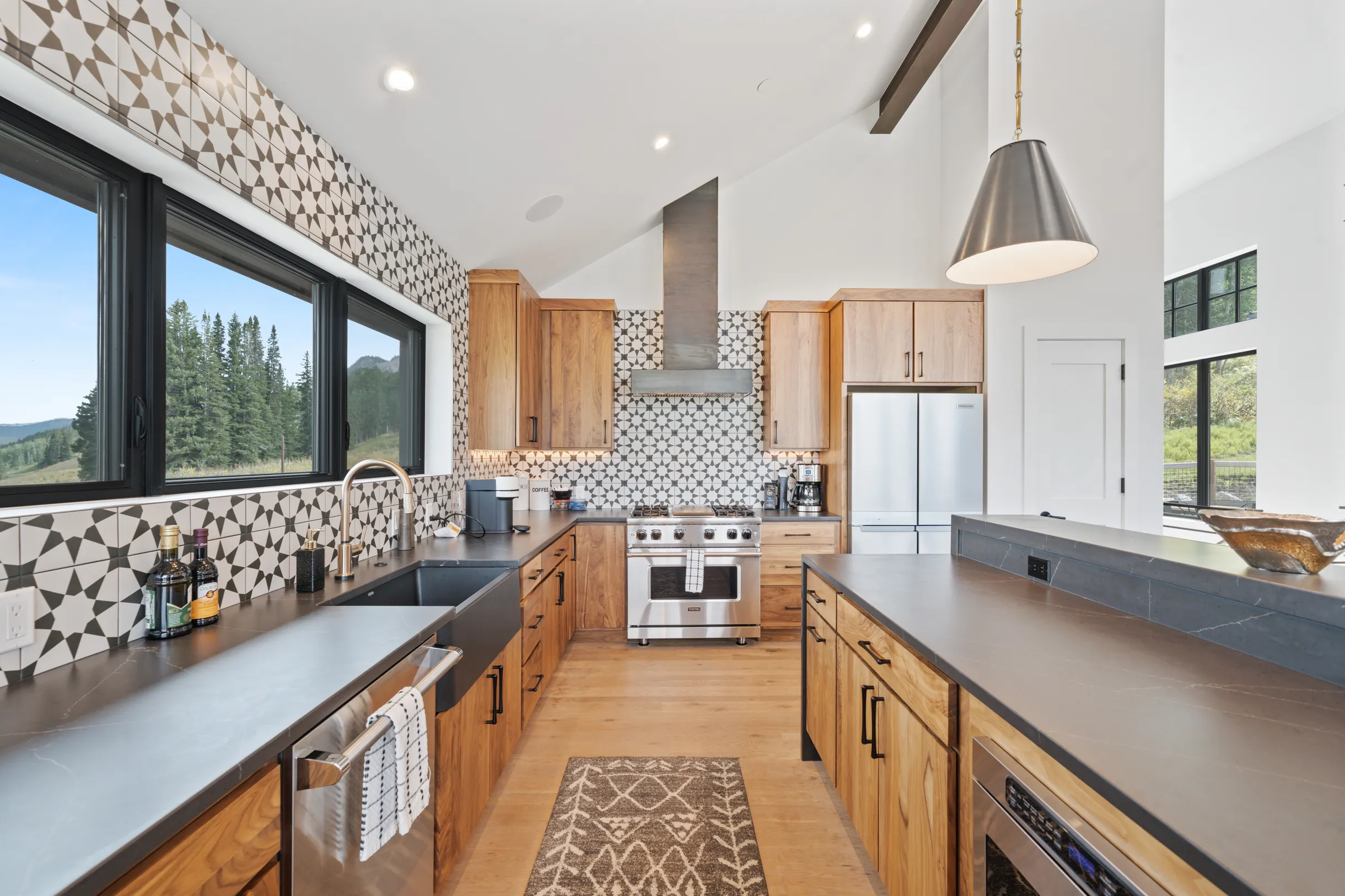 Wander Mount Crested Butte #21