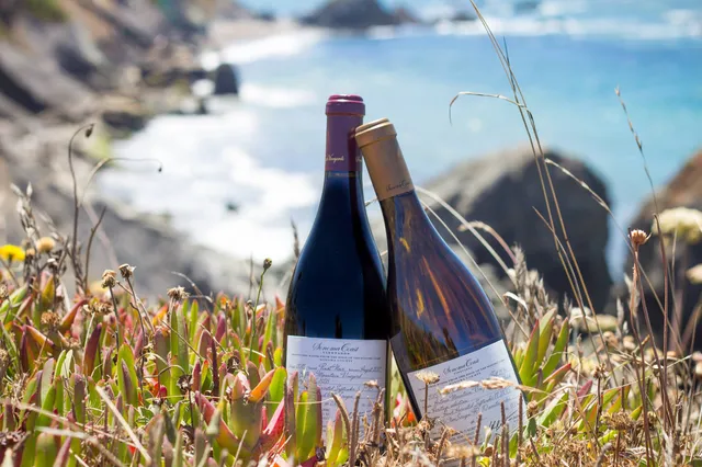 Wander Bodega Bay: Activities Guide