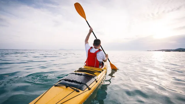 Bodega Bay Kayak 