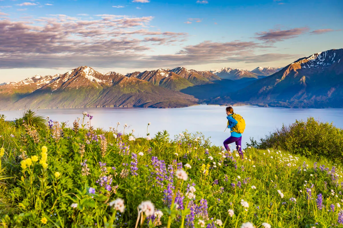 Wander Alaska Slopes: Transportation Guide