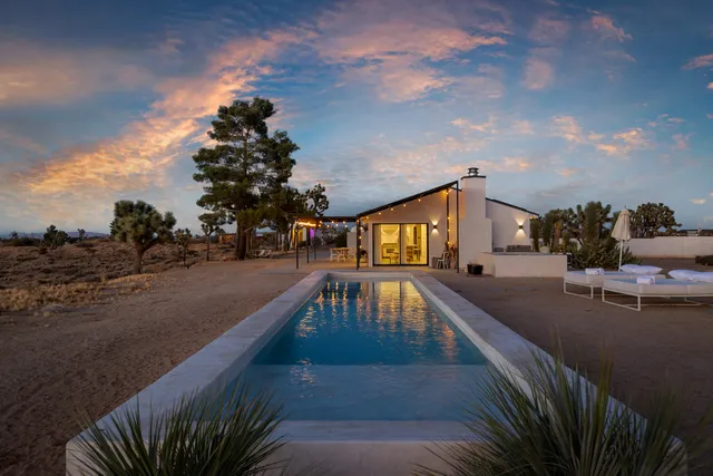 Wander Yucca Valley Desert