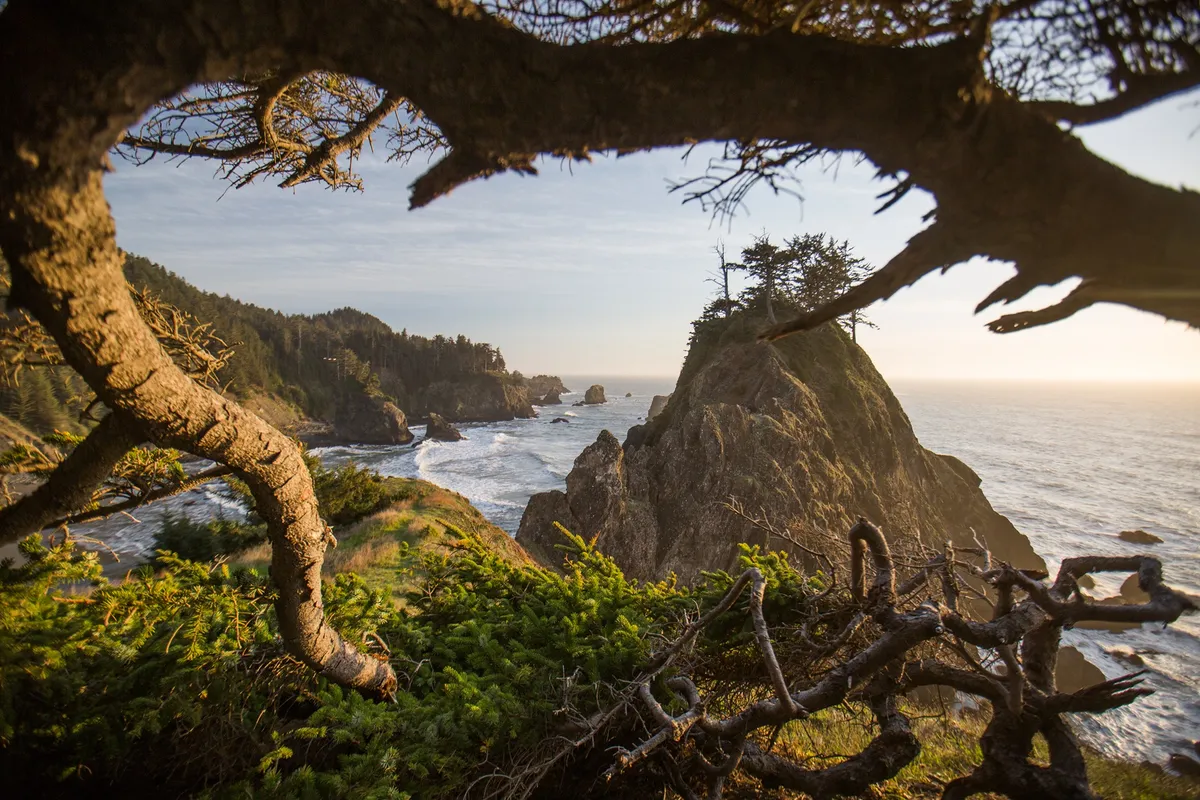 Wander Gold Coast: Transportation Guide 