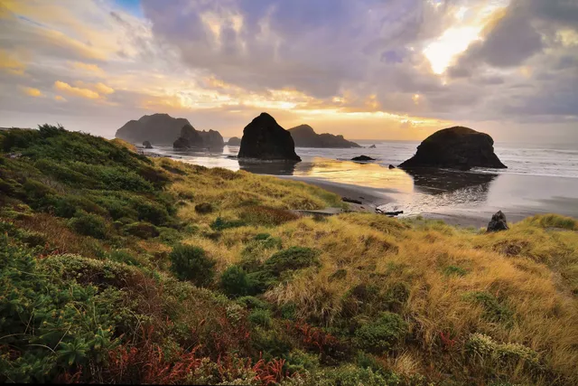 Wander Gold Coast: Activities Guide