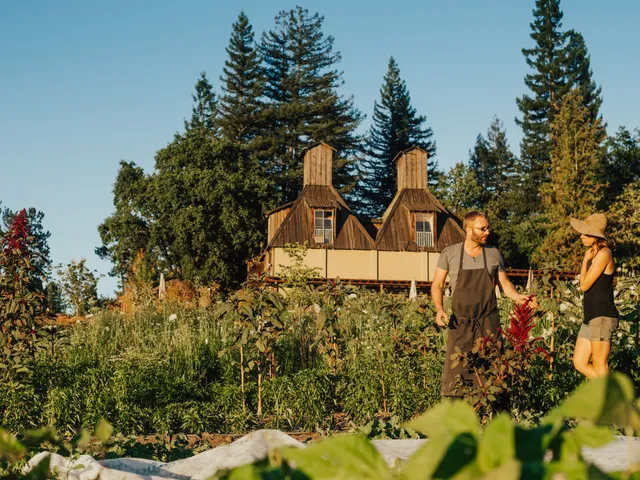 Russian River Vineyards