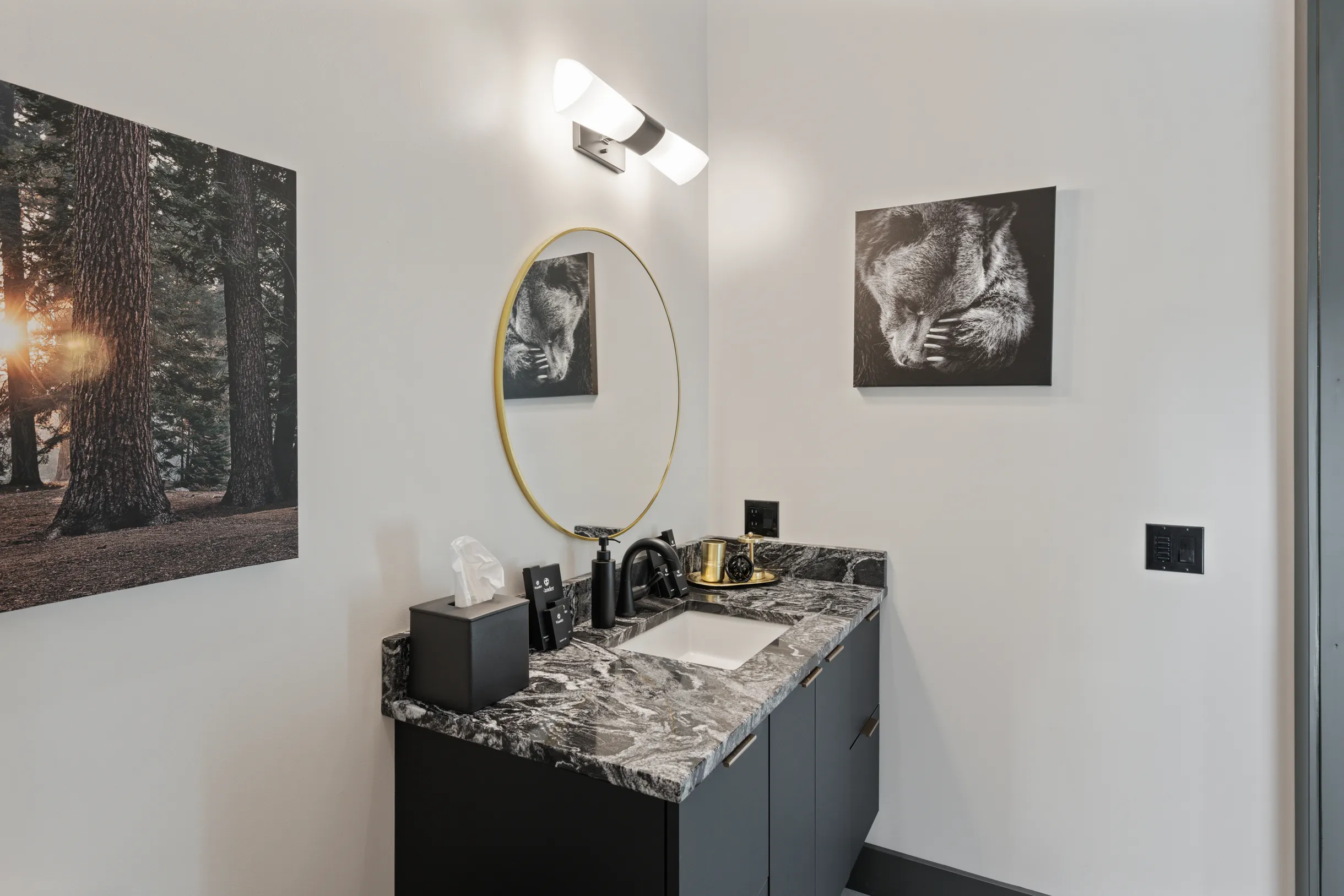 Wander Flathead Lake #29