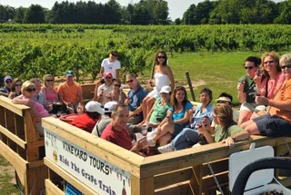 Fenn Valley Vineyards