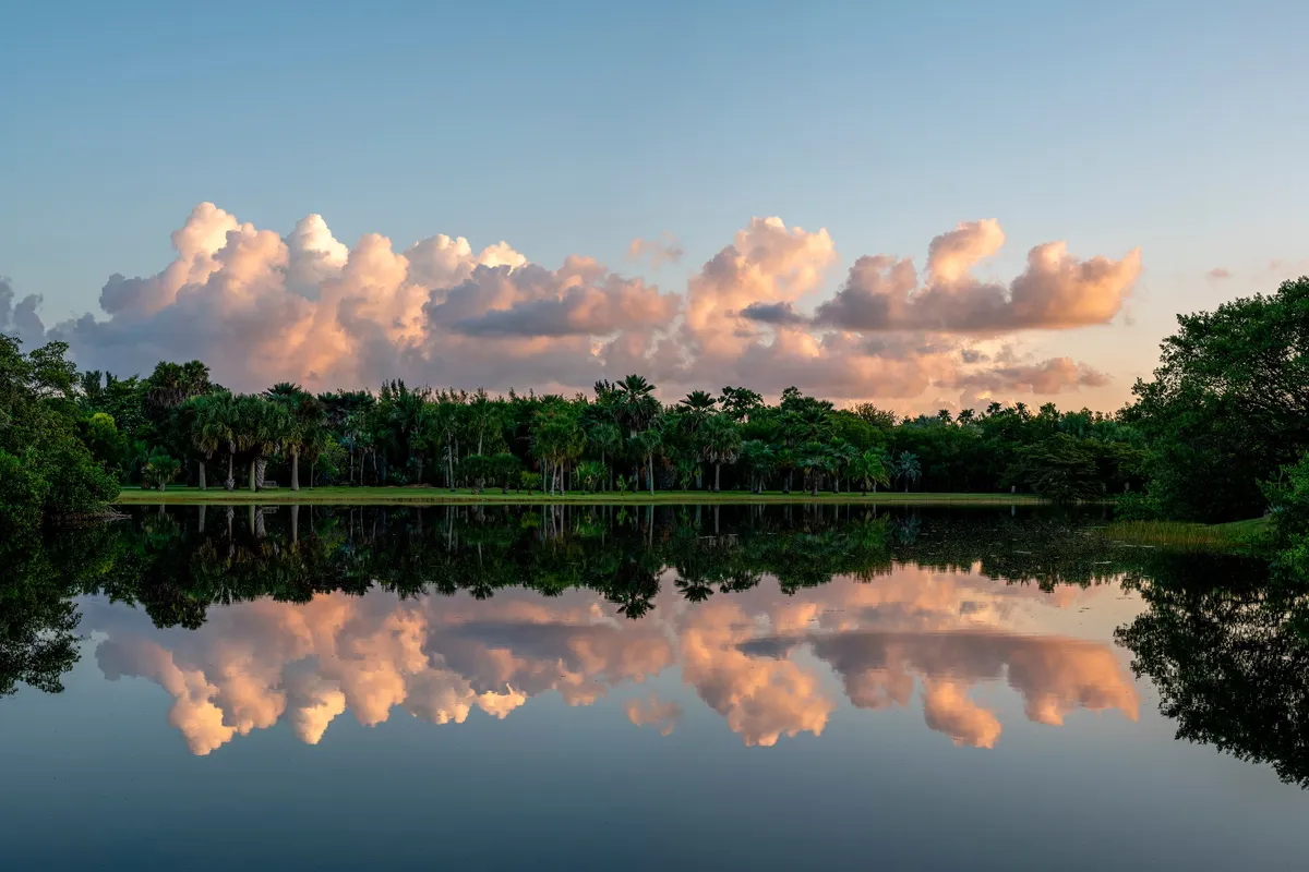 Wander Grove Waterfront: Activities Guide