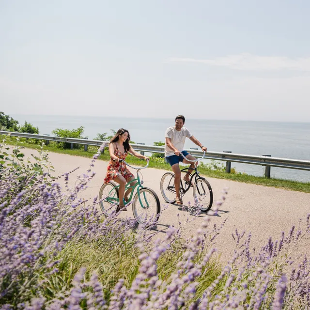 Wander Saugatuck Retreat: Transportation Guide