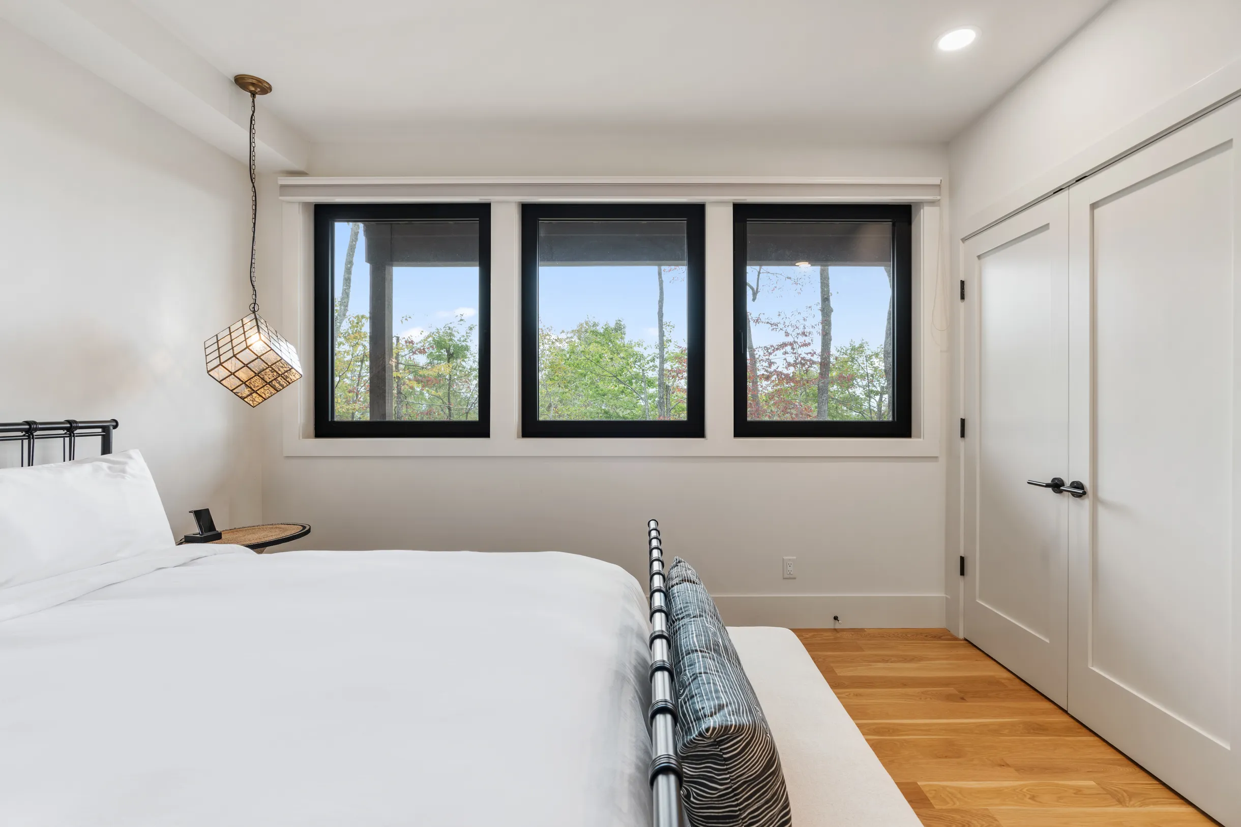 Wander Cedar Mountain #23