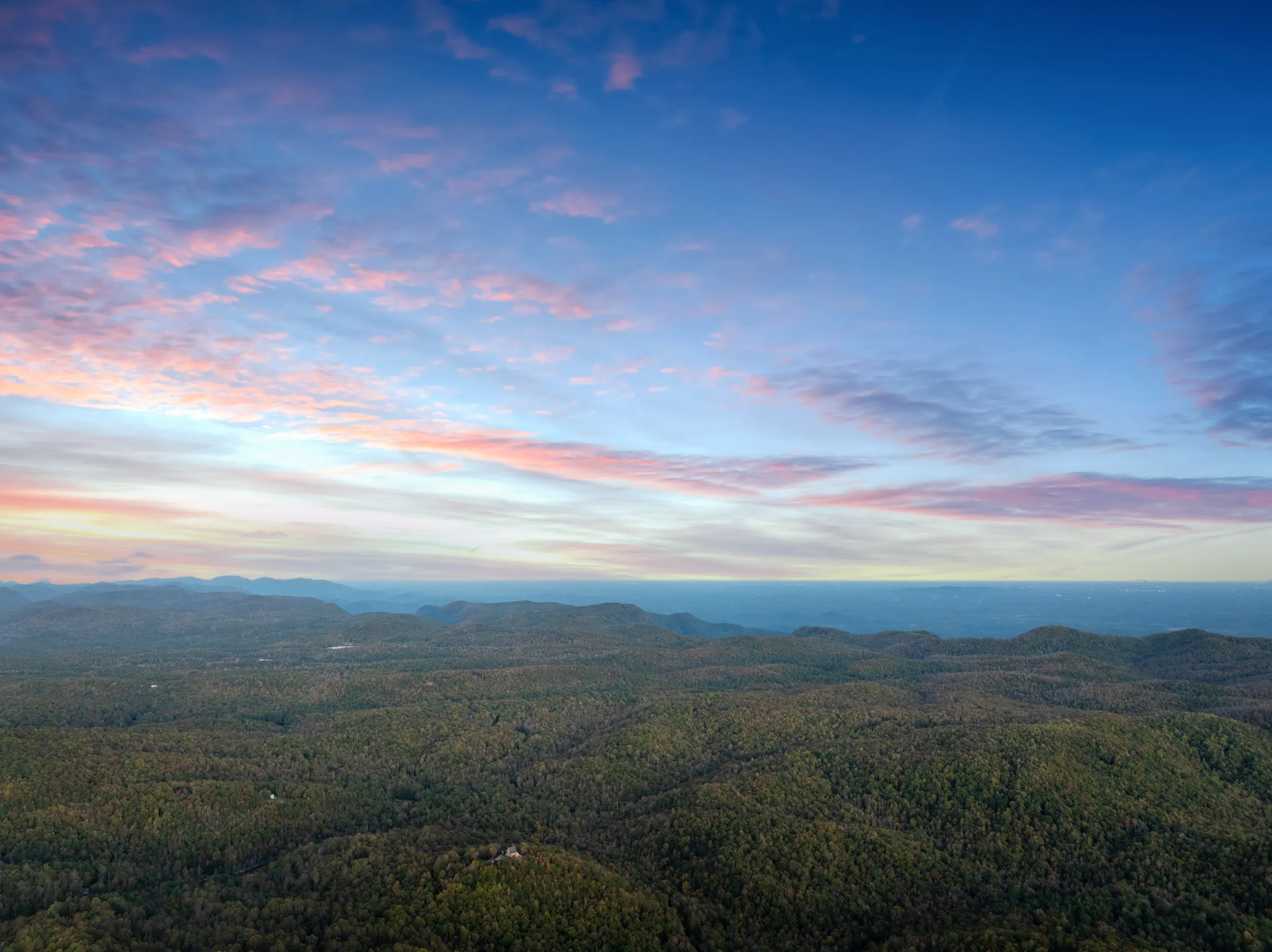 Wander Cedar Mountain #71