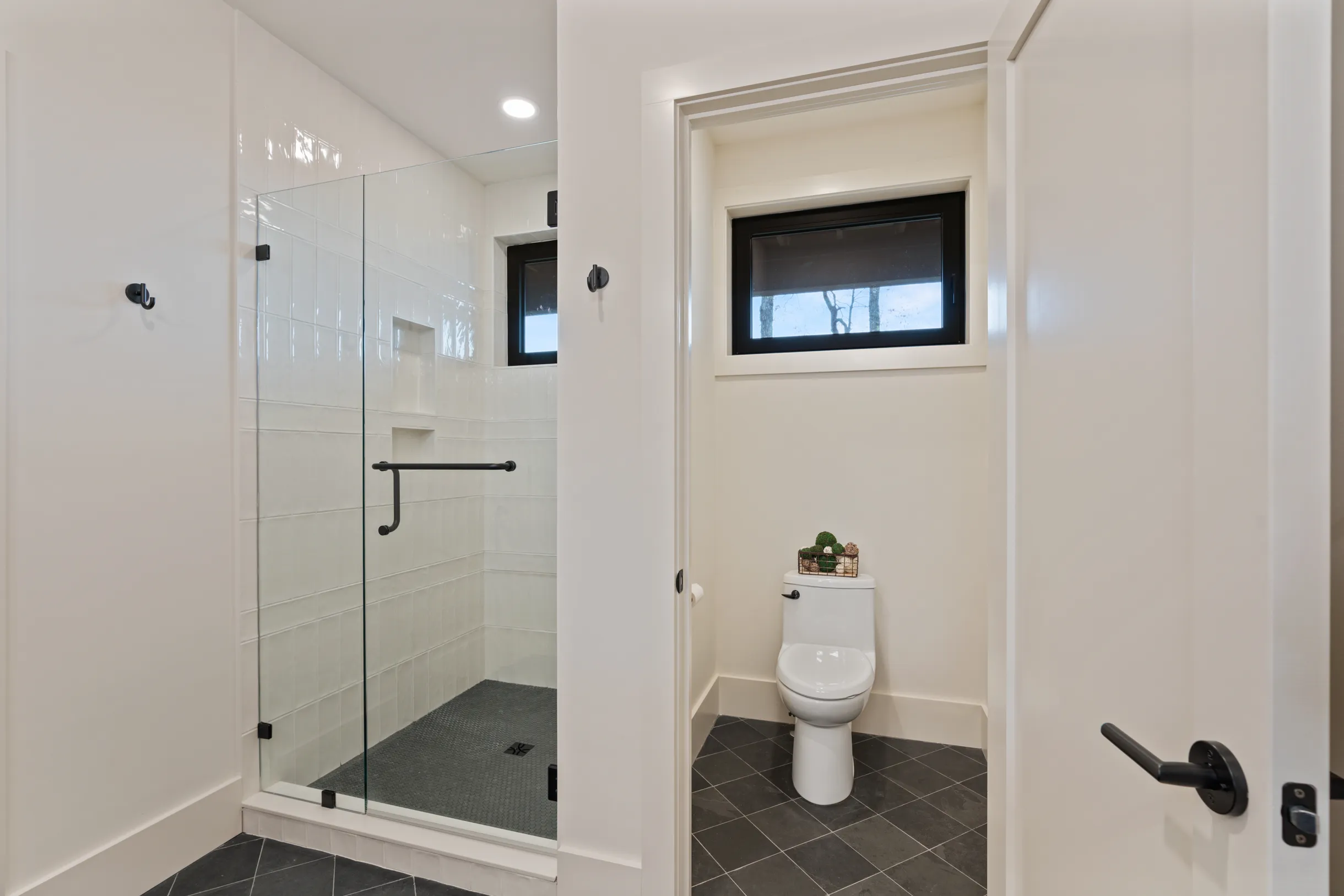 Wander Cedar Mountain #32