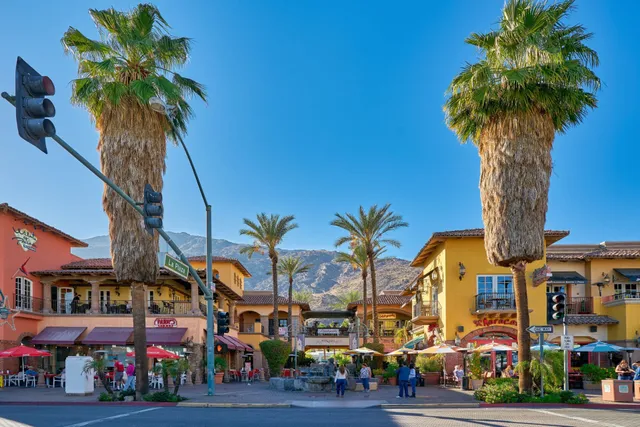 Transportation Guide: Wander Palm Springs Canyon