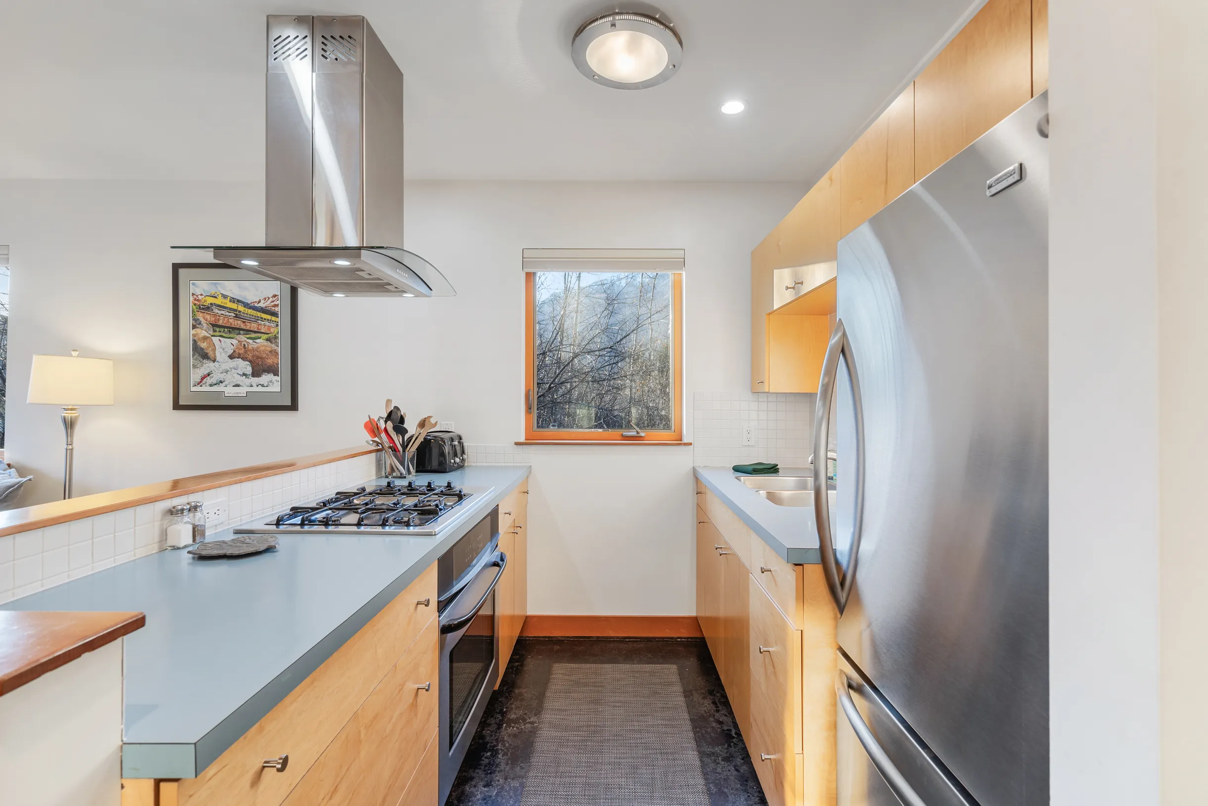 Wander Alaska Slopes #35