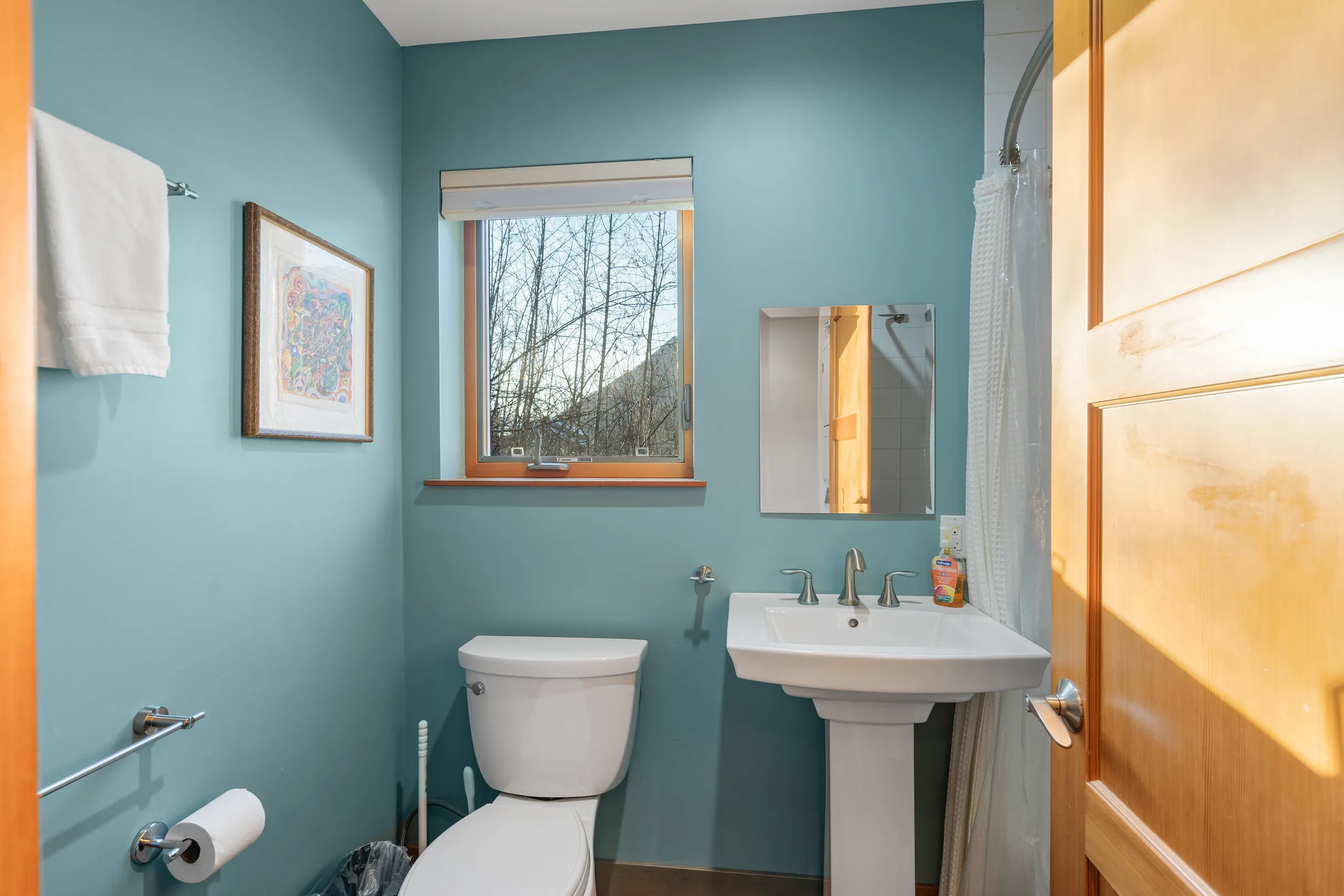 Wander Alaska Slopes #47