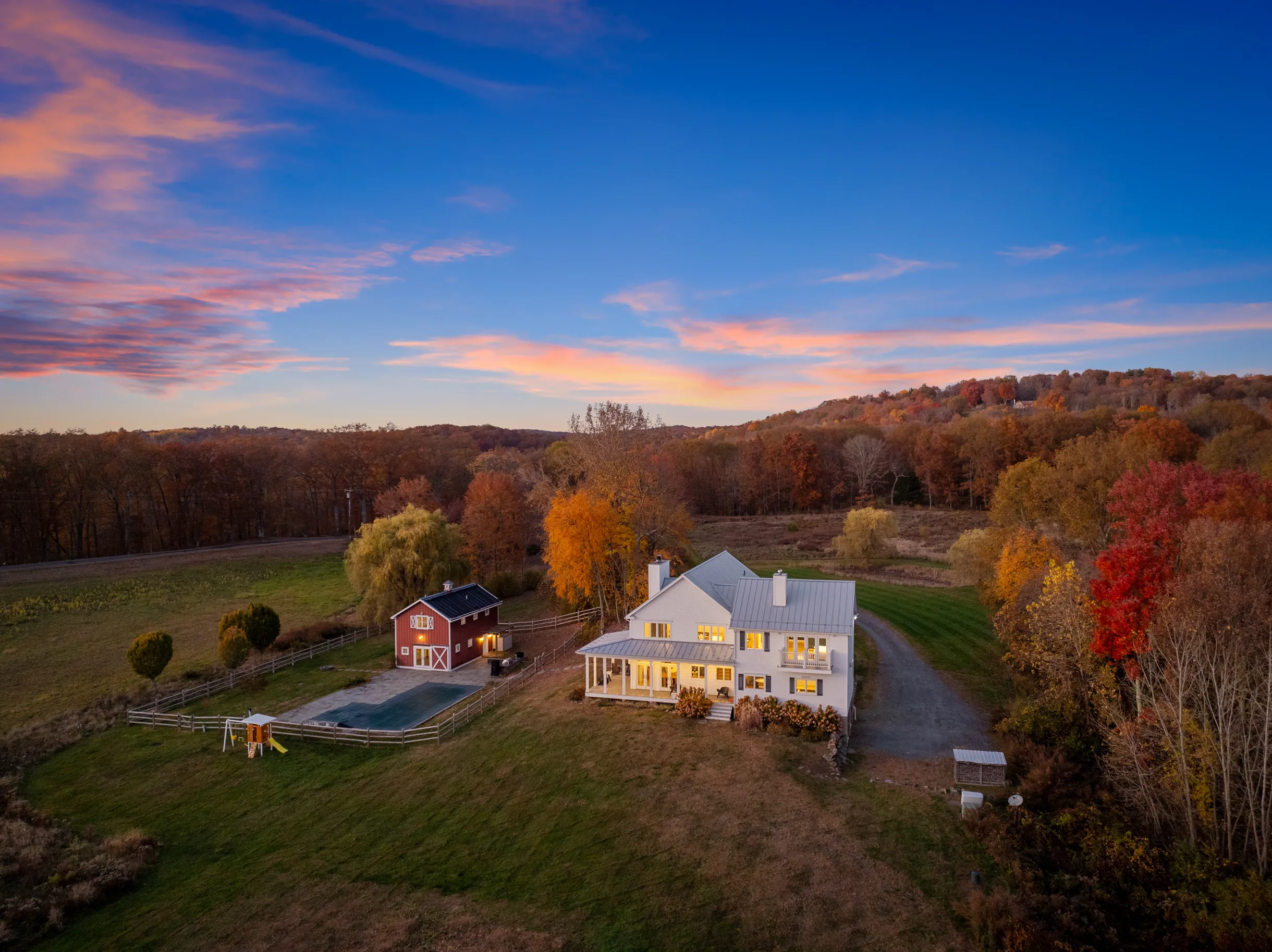 Wander Pine Plains #1